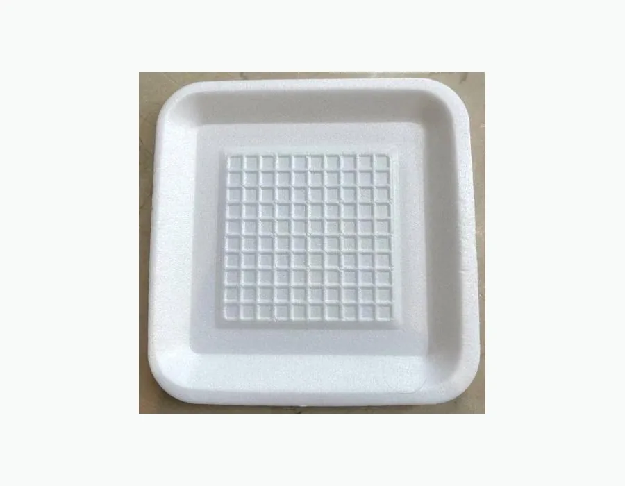 Foam food container
